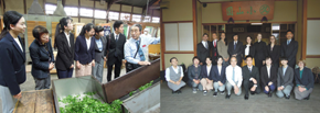 製茶見学